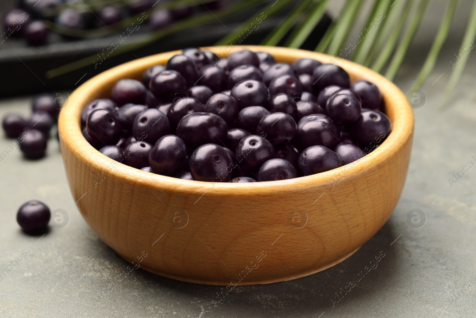 Photo of Ripe acai berries in bowl on grey textured table, closeup