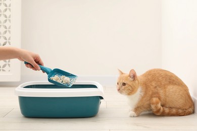 Photo of Woman cleaning cat litter tray with scoop indoors, closeup