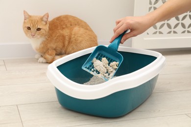 Photo of Woman cleaning cat litter tray with scoop indoors, closeup