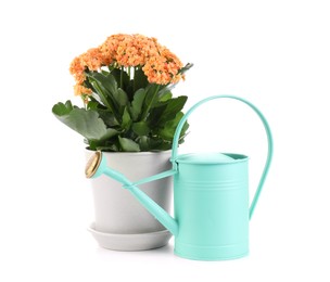 Beautiful kalanchoe flower in pot and watering can isolated on white