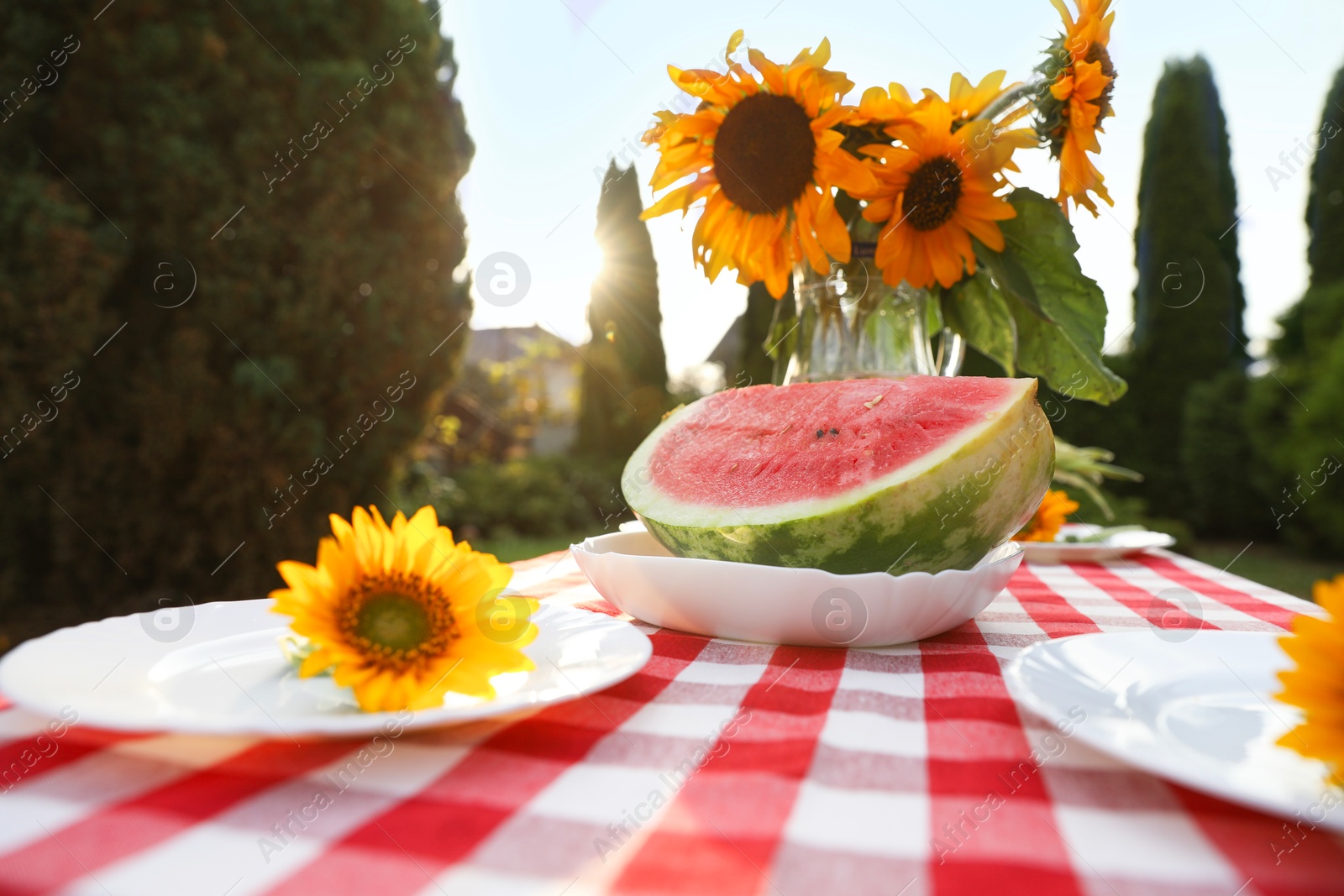 Photo of Vase of sunflowers, watermelon and plates on table in garden, closeup