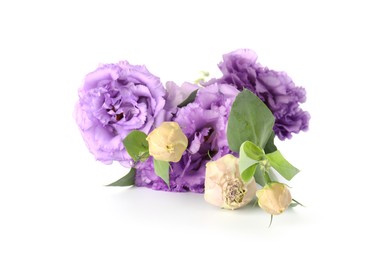 Photo of Beautiful violet eustoma flowers with green leaves isolated on white