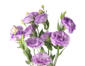 Photo of Bouquet of violet eustoma flowers with green leaves isolated on white