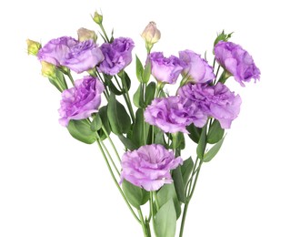 Photo of Bouquet of violet eustoma flowers with green leaves isolated on white