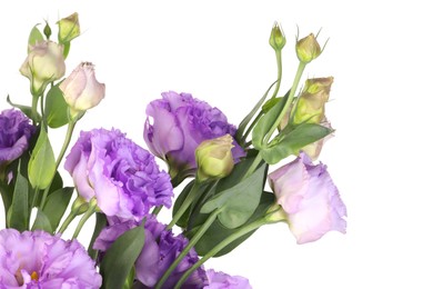 Photo of Beautiful violet eustoma flowers with green leaves isolated on white