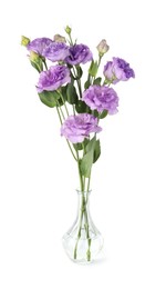 Photo of Vase with beautiful violet eustoma flowers isolated on white