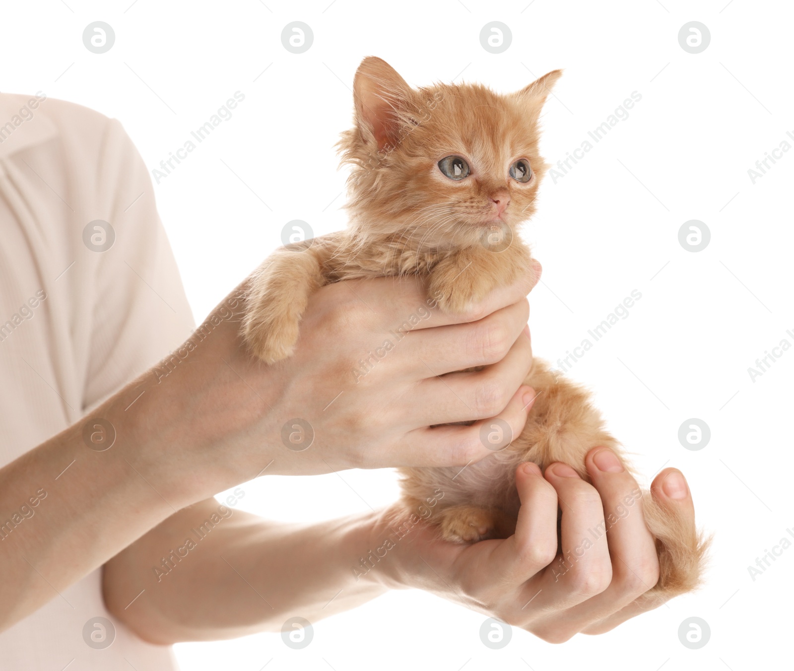 Photo of Teenage boy holding cute ginger kitten on white background, closeup