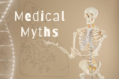 Image of Medical myths. Artificial human skeleton model, illustrations of DNA and lungs on beige background