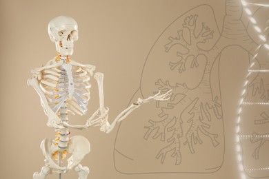 Image of Artificial human skeleton model, illustrations of DNA and lungs on beige background