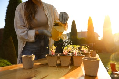 Photo of Woman watering potted seedlings with can at wooden table outdoors, closeup