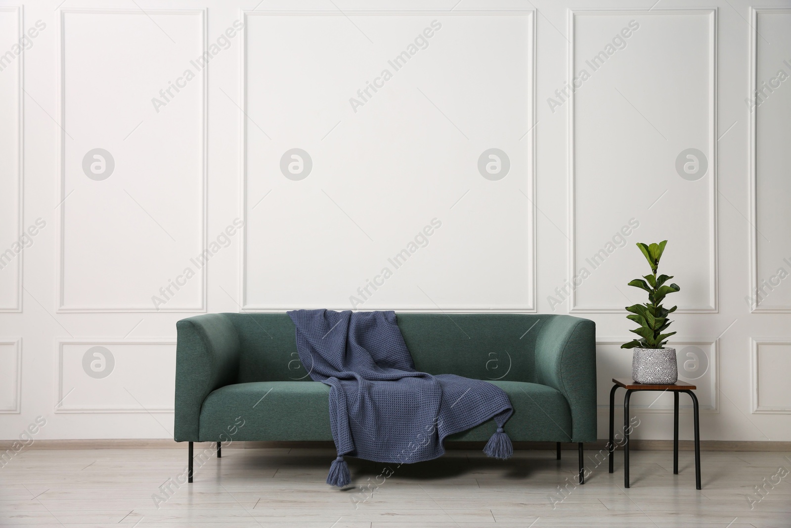 Photo of Stylish sofa with blanket and plant on side table near white wall