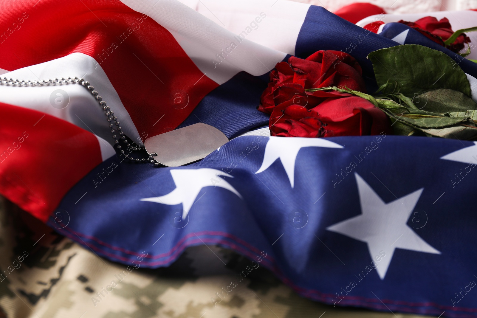 Photo of Veterans day. Army token, American flag, roses and military uniform, closeup