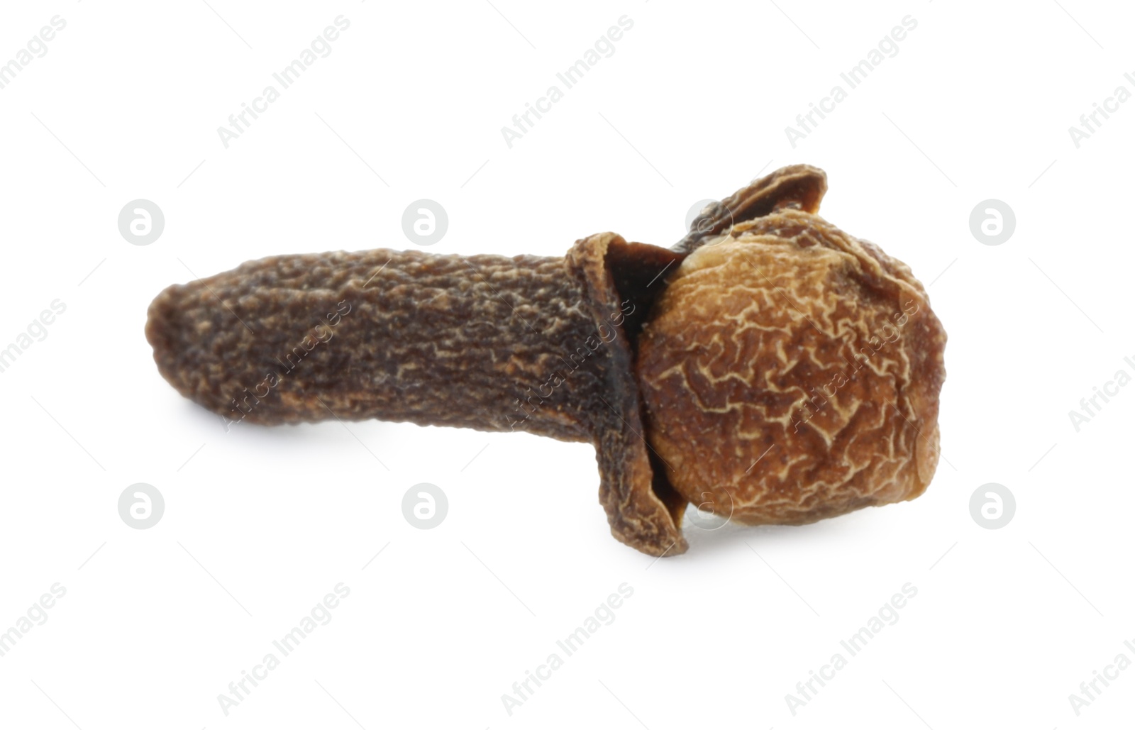 Photo of Aromatic spice. Dry clove bud isolated on white