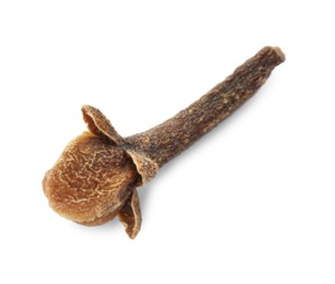 Aromatic spice. Dry clove bud isolated on white