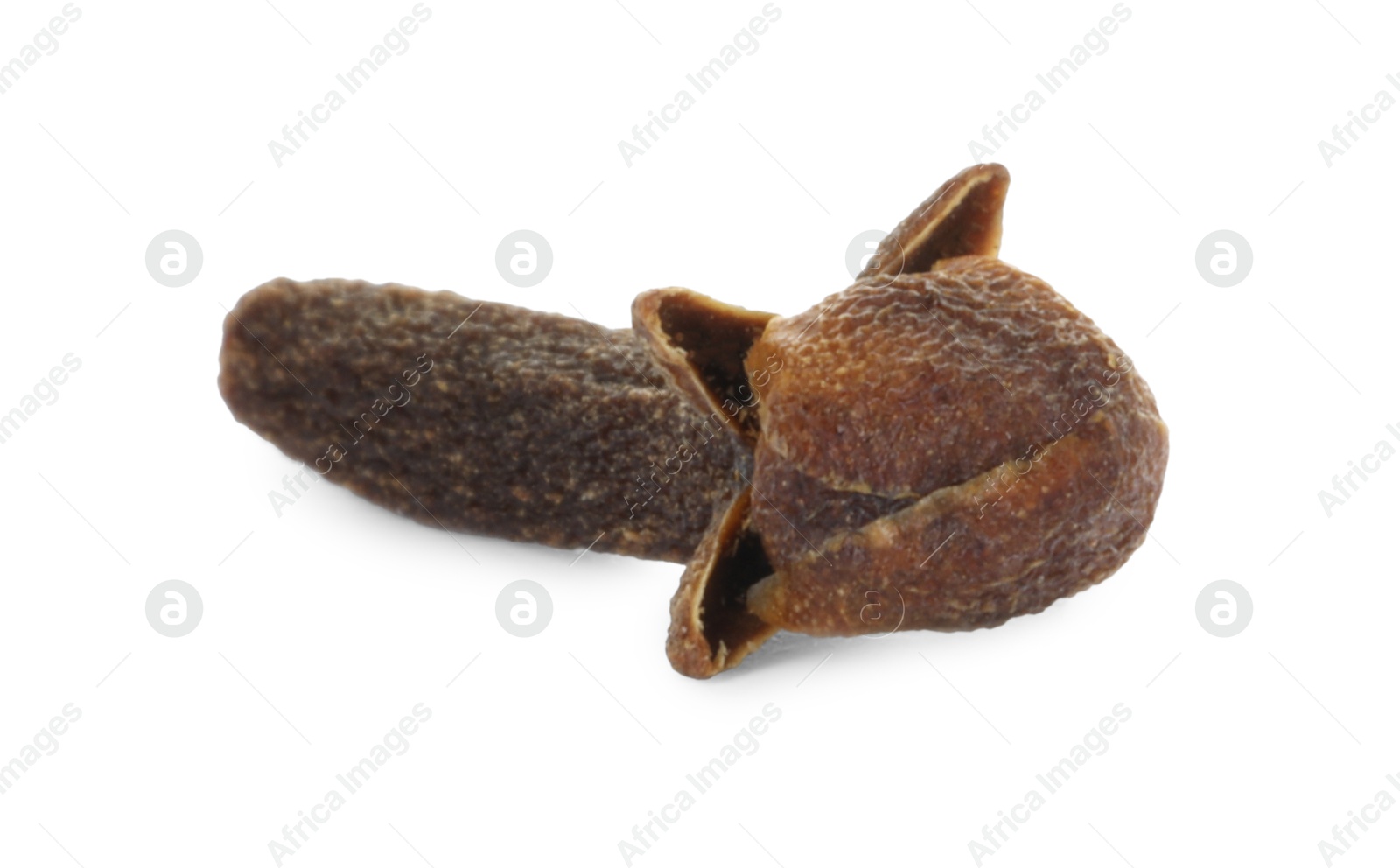 Photo of Aromatic spice. Dry clove bud isolated on white