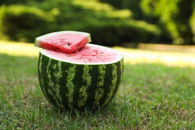 Photo of Cut juicy watermelon on green grass outdoors