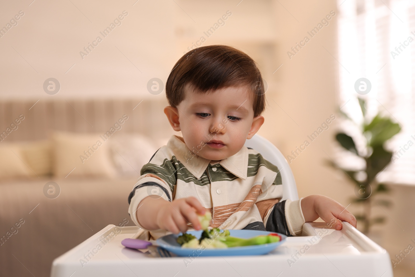 Photo of Cute little baby eating healthy food in high chair at home