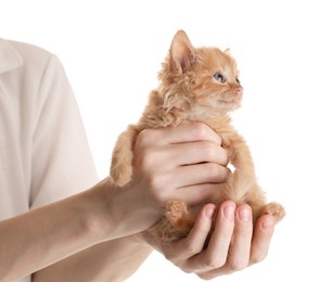 Photo of Teenage boy holding cute ginger kitten on white background, closeup