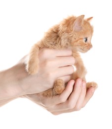 Photo of Teenage boy holding cute ginger kitten on white background, closeup