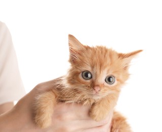 Photo of Teenage boy holding cute ginger kitten on white background, closeup