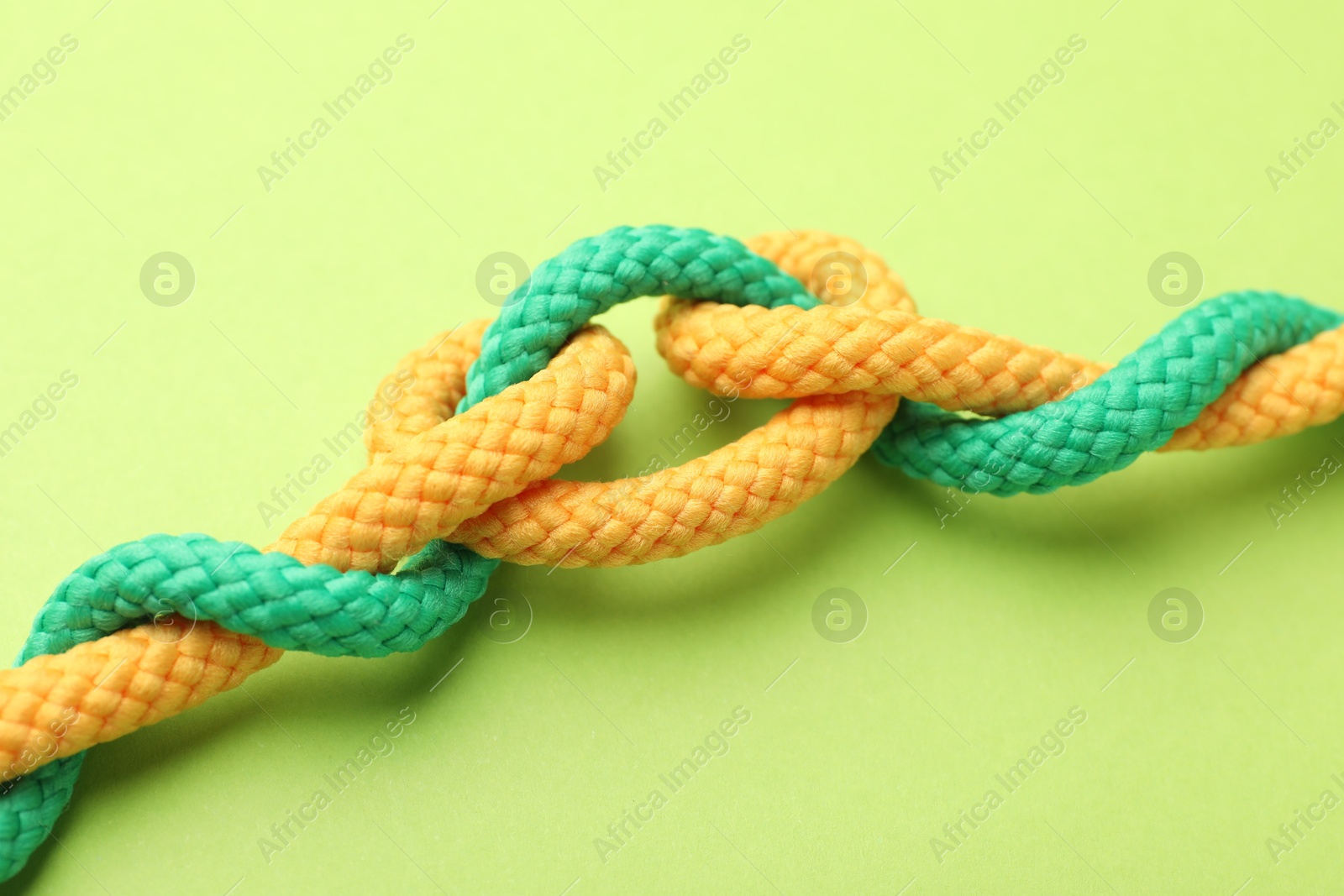 Photo of Colorful ropes tied in knot on green background, closeup. Unity concept