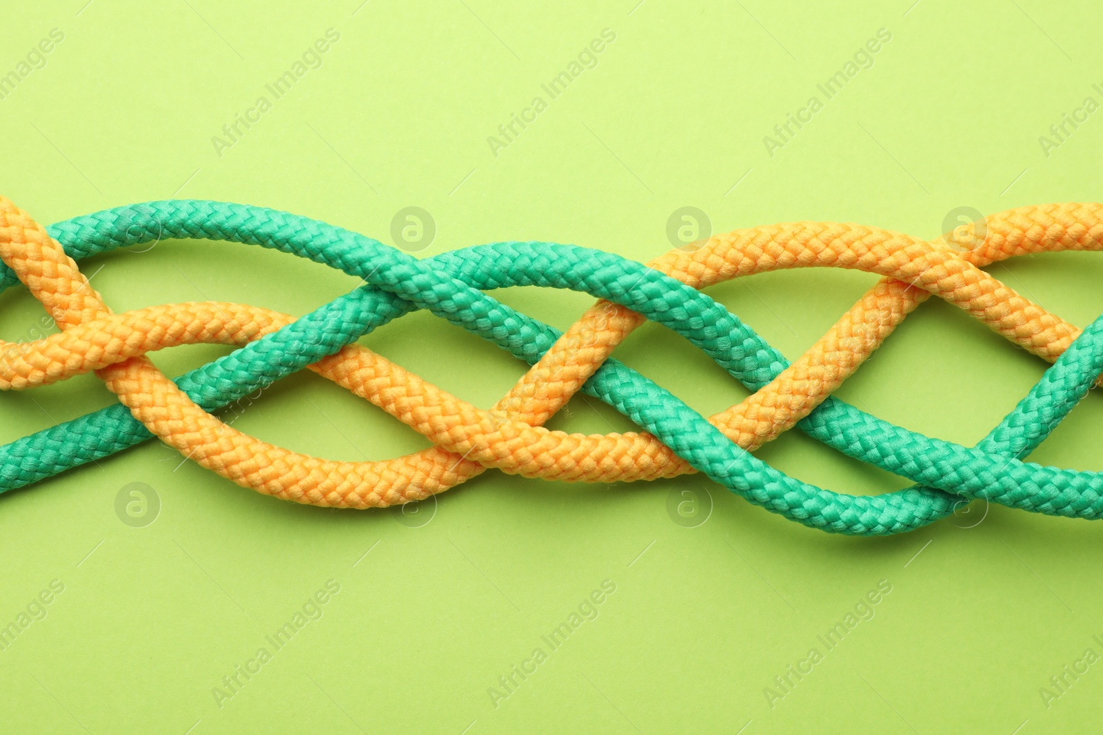 Photo of Braided colorful ropes on green background, top view. Unity concept