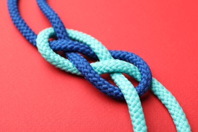 Photo of Colorful ropes tied in knot on red background, closeup. Unity concept