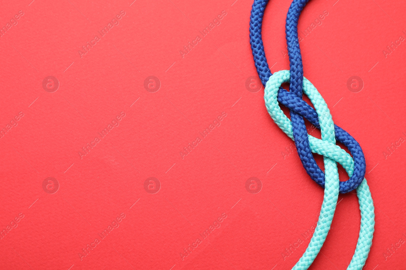 Photo of Colorful ropes tied in knot on red background, top view with space for text. Unity concept