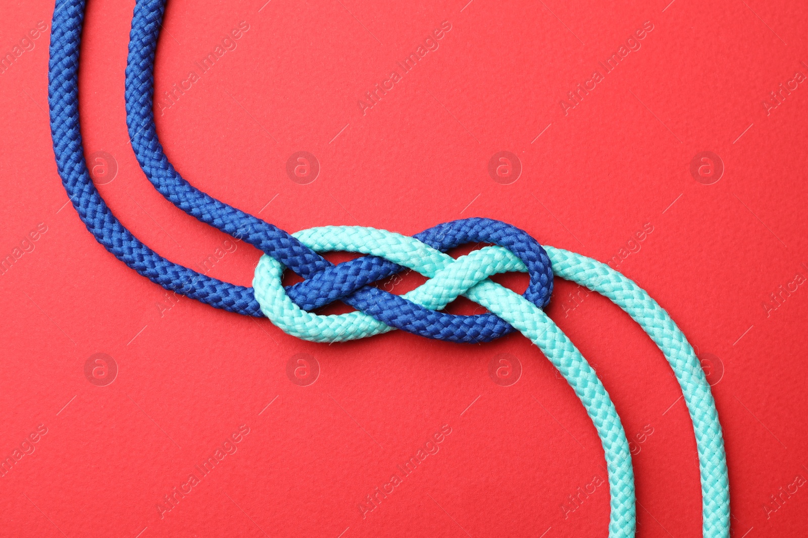 Photo of Colorful ropes tied in knot on red background, top view. Unity concept