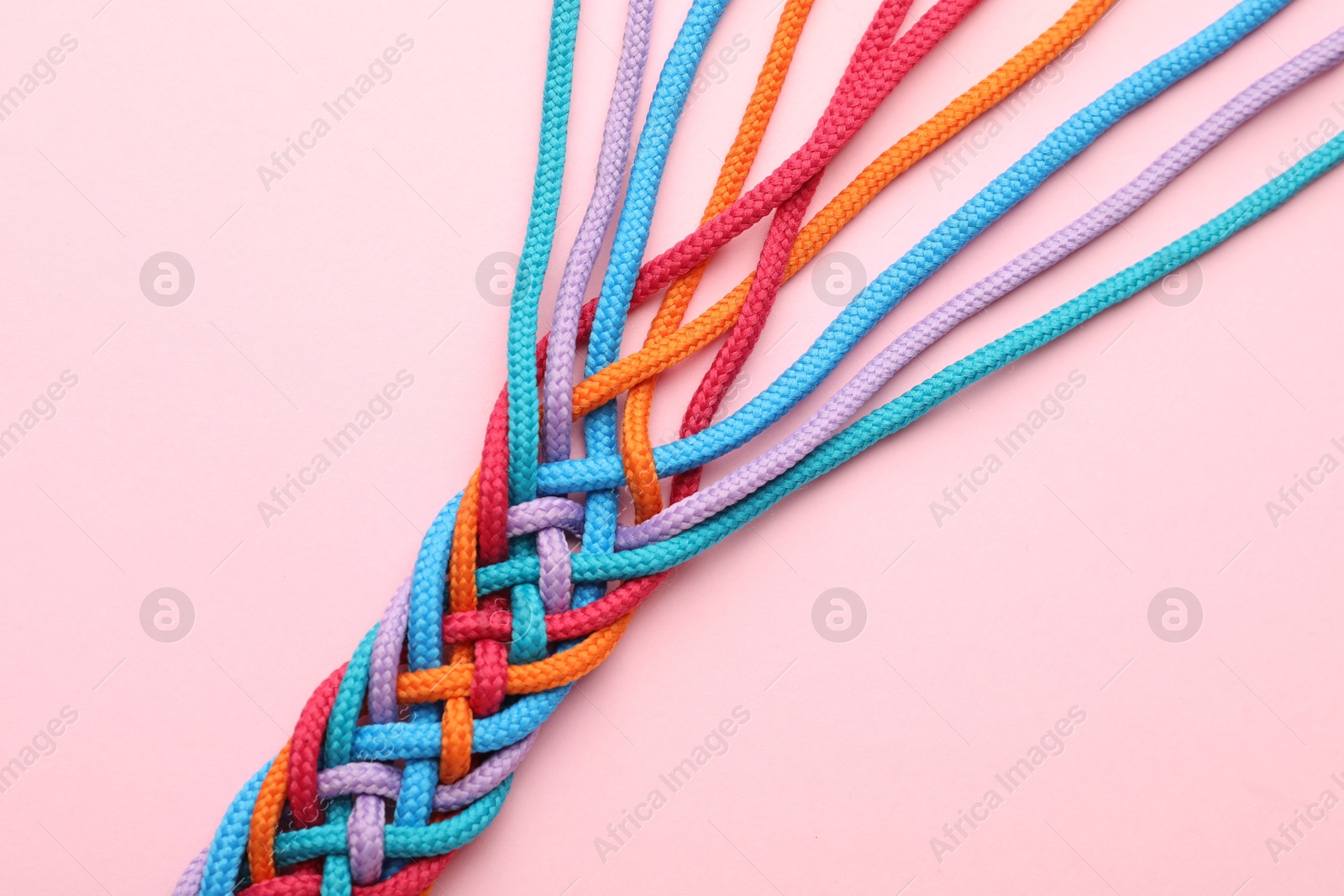 Photo of Braided colorful ropes on pink background, top view. Unity concept