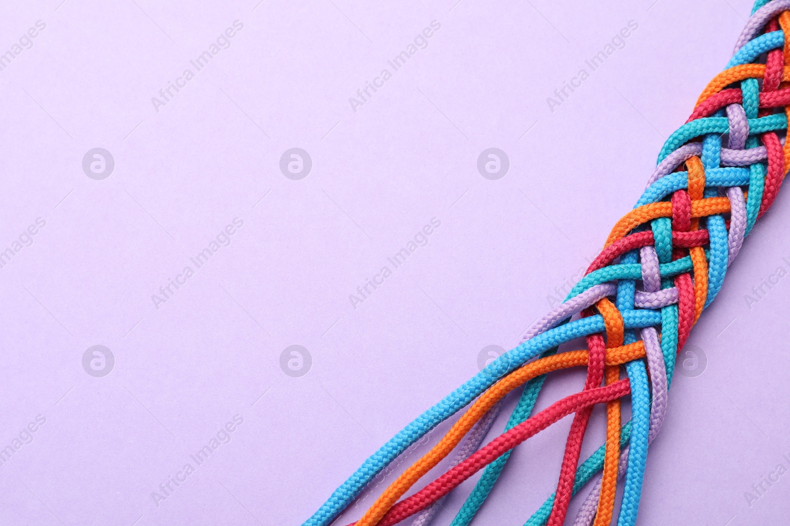 Photo of Braided colorful ropes on violet background, space for text. Unity concept