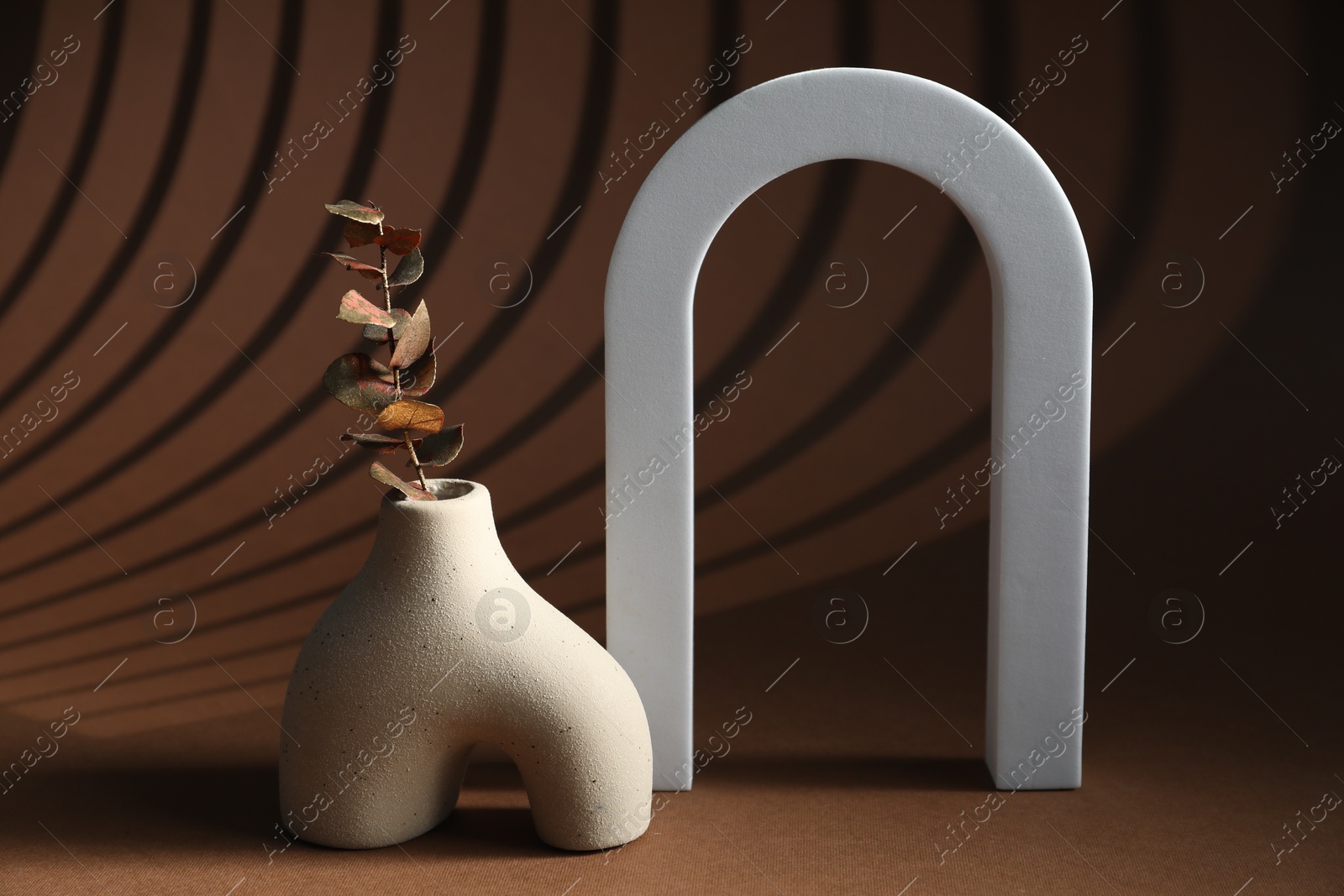 Photo of Stylish vase with dry leaves and arch on brown background