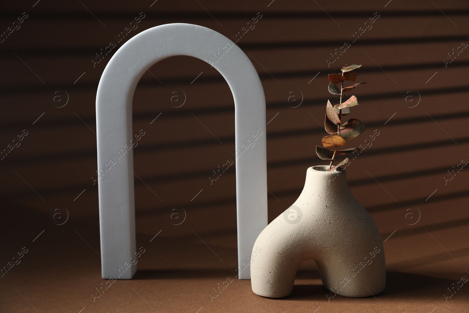 Photo of Stylish vase with dry leaves and arch on brown background