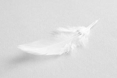 Photo of One white feather on light grey background, closeup