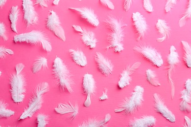 Photo of Many fluffy feathers on pink background, flat lay