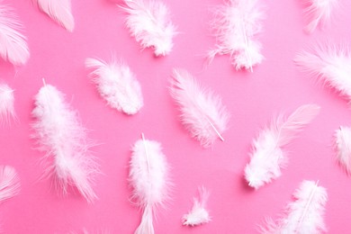 Photo of Many fluffy feathers on pink background, flat lay