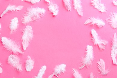 Photo of Frame of many fluffy feathers on pink background, flat lay. Space for text