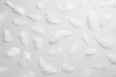 Photo of Beautiful fluffy feathers on light grey background, flat lay