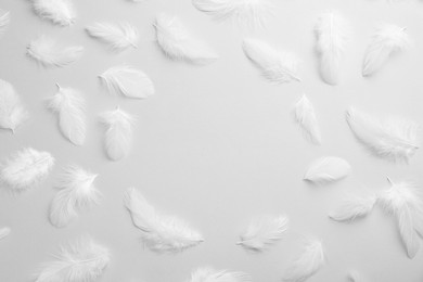 Photo of Frame of beautiful fluffy feathers on light grey background, flat lay. Space for text