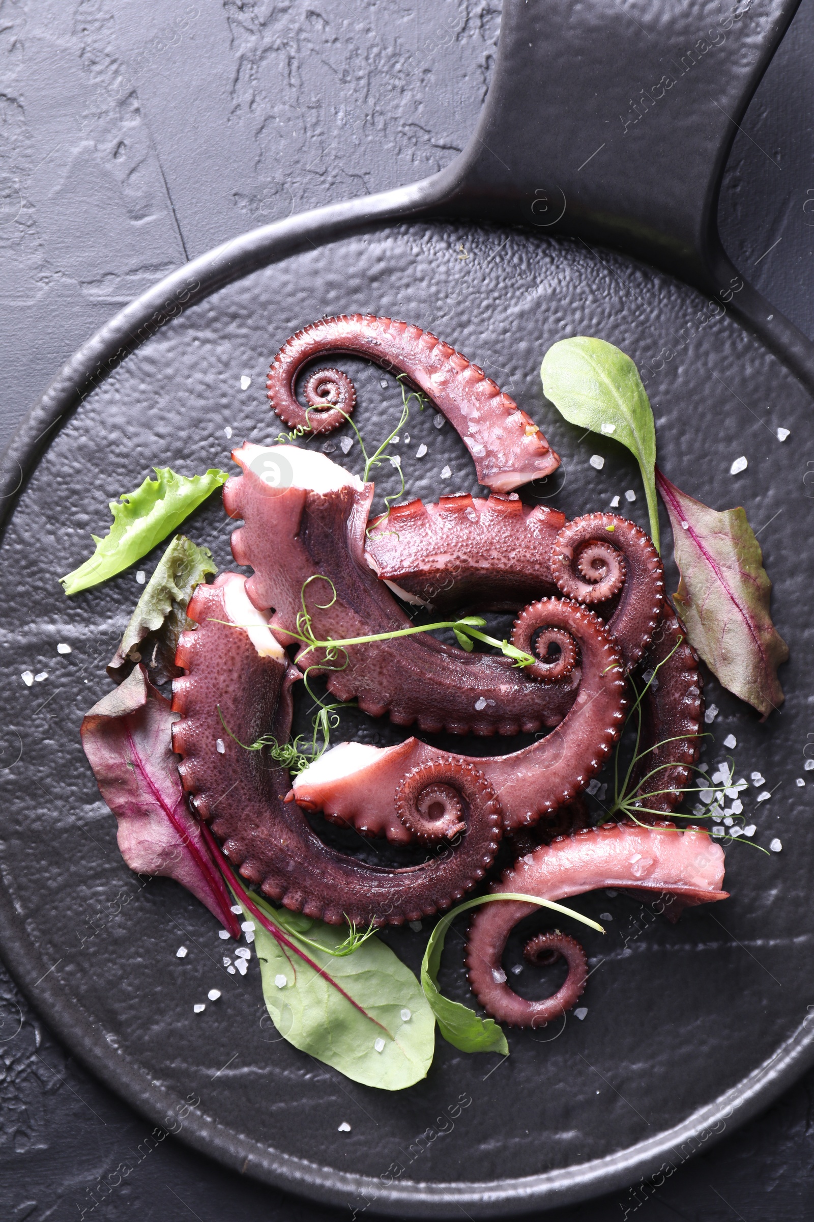 Photo of Tasty boiled octopus tentacles, microgreens and salt on grey textured table, top view