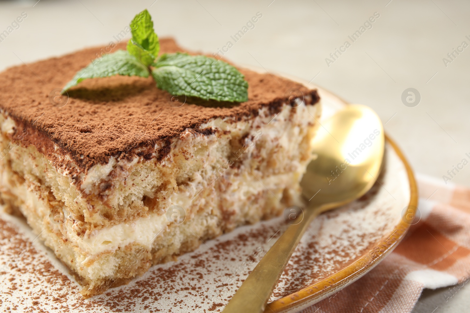 Photo of Piece of tasty tiramisu with fresh mint on table, closeup