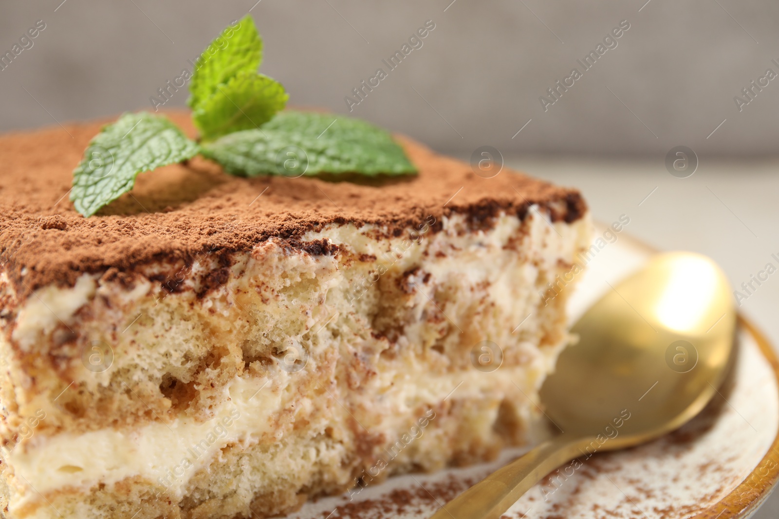 Photo of Piece of tasty tiramisu on table, closeup