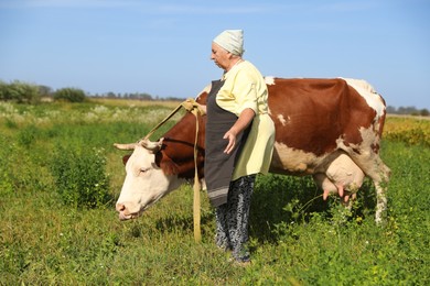 Photo of Senior woman with beautiful cow on pasture