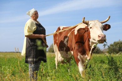 Photo of Senior woman with beautiful cow on pasture