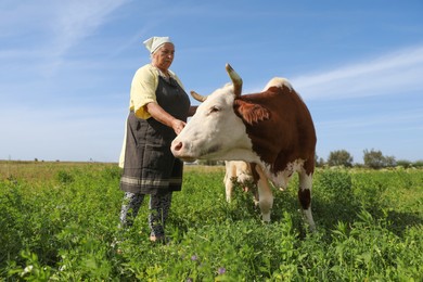 Senior woman with beautiful cow on pasture