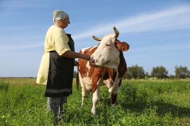 Photo of Senior woman with beautiful cow on pasture