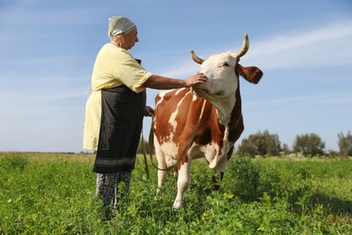 Photo of Senior woman with beautiful cow on pasture