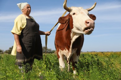 Photo of Senior woman with beautiful cow on pasture