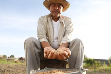 Photo of Senior man with ripe wheat grains outdoors, low angle view