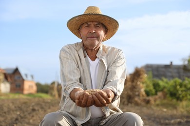 Senior man holding ripe wheat grains outdoors